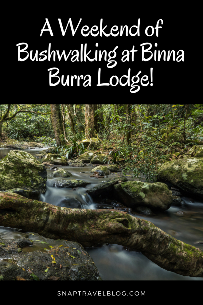 A weekend of bushwalking at Binna Burra Lodge. Hiking Trails at Binna Burra Lodge. Lamington National Park Queensland.