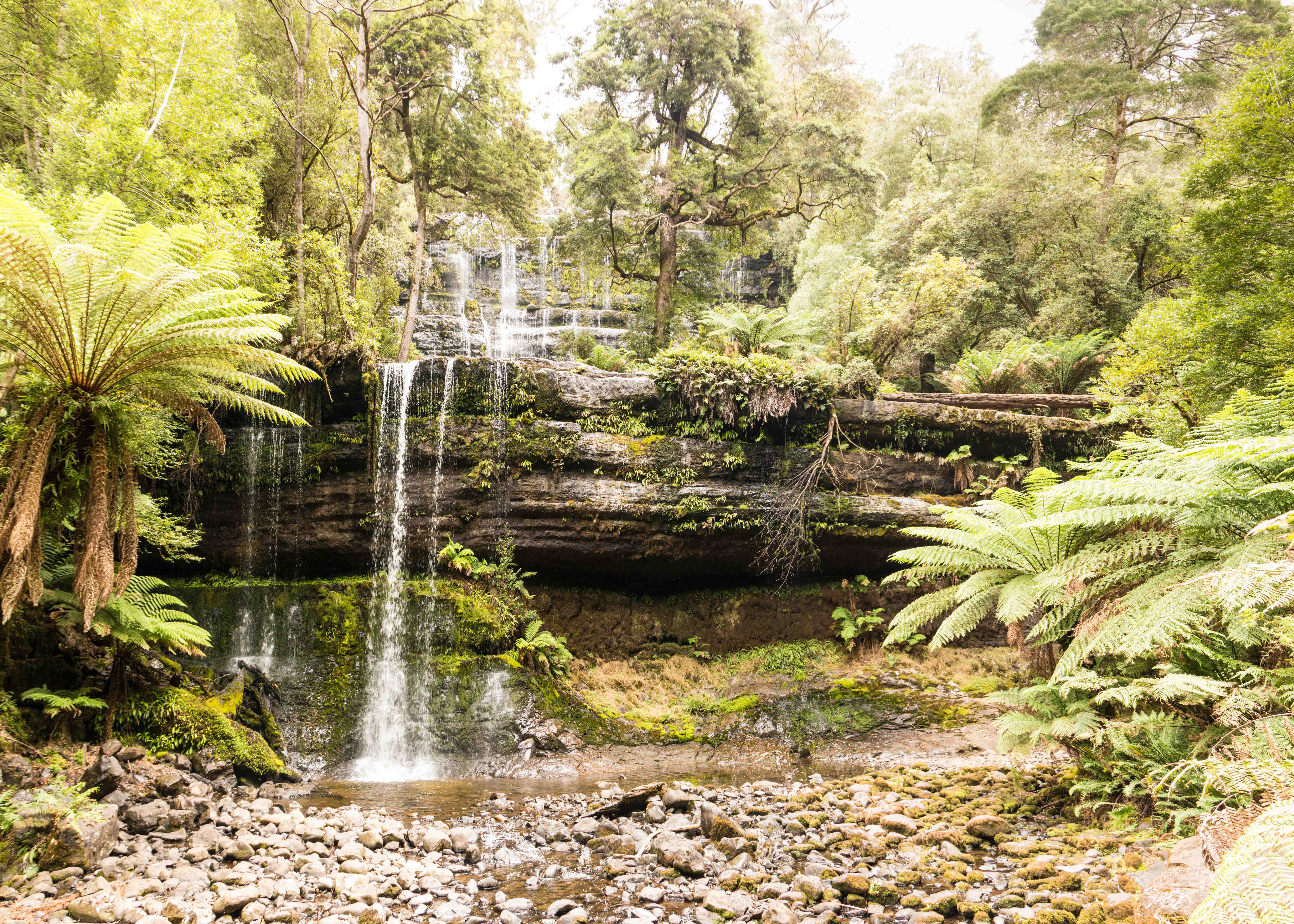 The beautiful Russell Falls, Mount Field National Park.