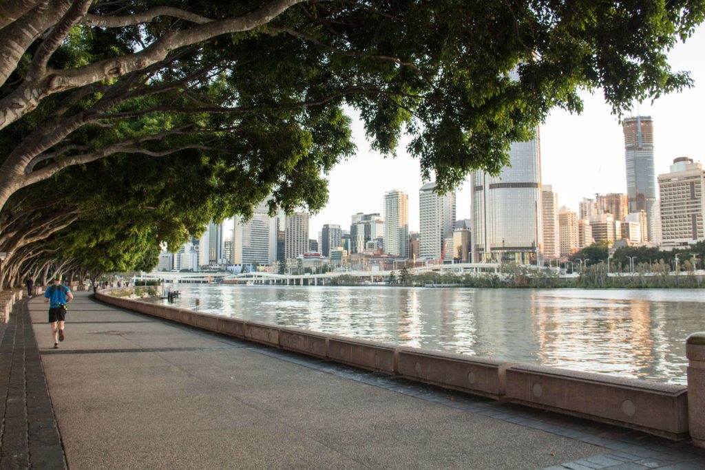 Walk along the Clem Jones Promenade at Brisbane's South Bank under the shade of the magnificent fig trees and take in the scenic city and river views.