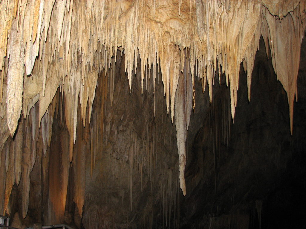 Photo of Hastings Caves